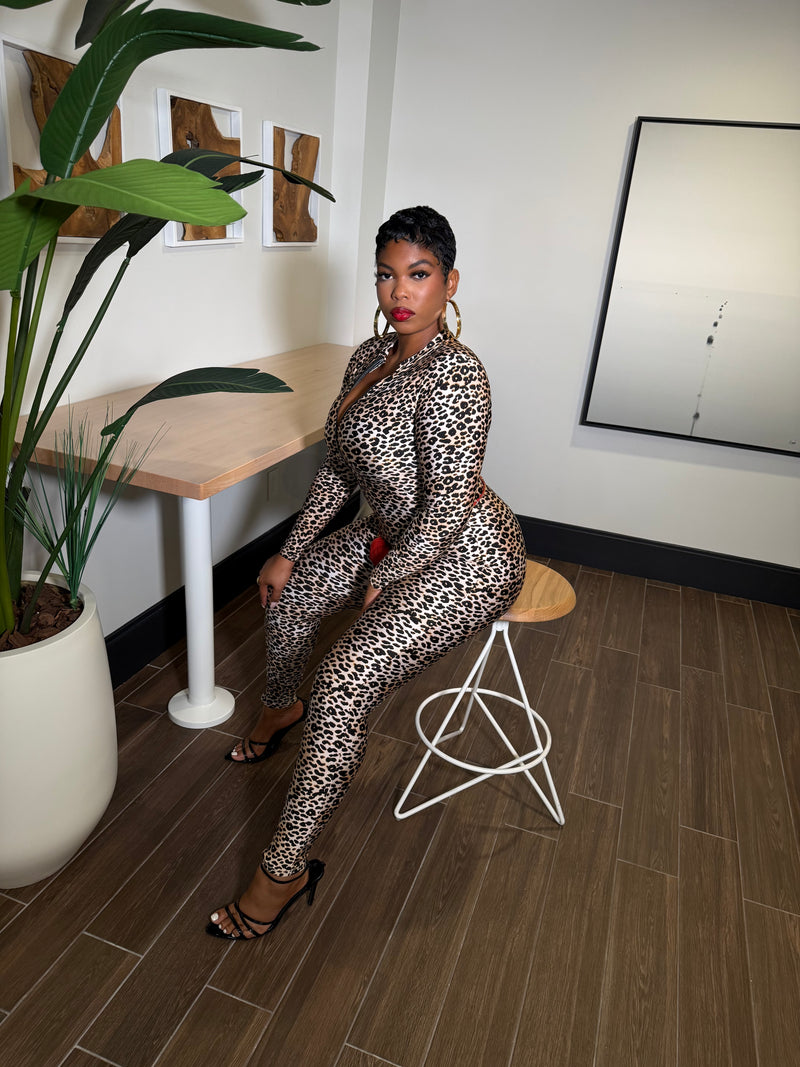 Wild Catsuit